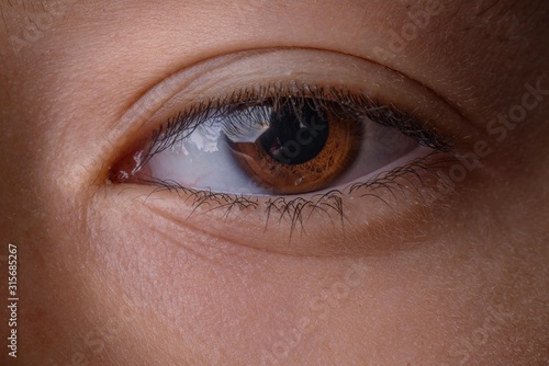 A brown eye macro shot