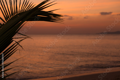 Palm tree leaf on blur tropical sunset beach background. Travel concept template.