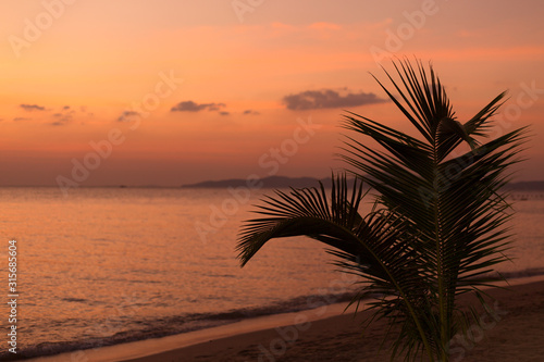 Palm tree leaf on blur tropical sunset beach background. Travel concept template.
