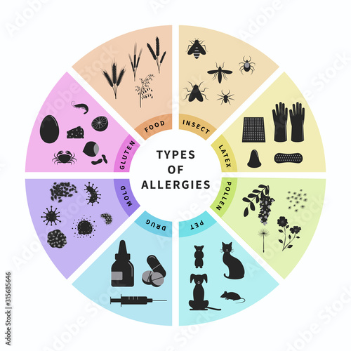 Types of allergies infographics design vector illustration. Animal hair, latex, drugs, insect, food, gluten, pollen allergy. Banner template with different allergen symbols