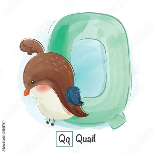 Animal Alphabe Q