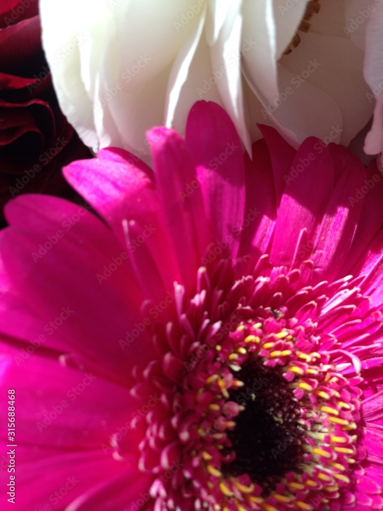 Obraz premium Flower Bouquet Closeups