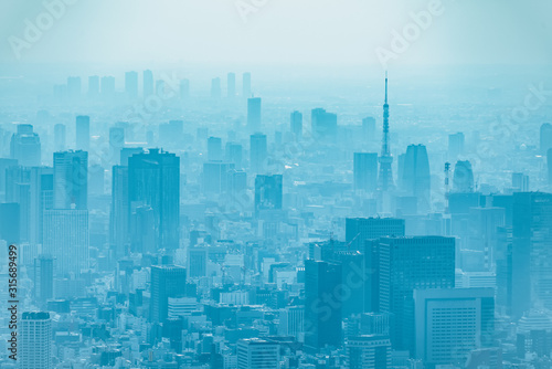 dust during daytime in a very polluted city - in this case Tokyo  Japan. Cityscape of buildings with bad weather from Fine Particulate Matter. Air pollution.