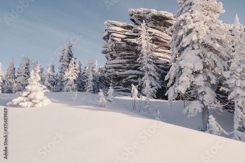 Wallpaper Mural winter landscape with snow-covered trees and rocks Torontodigital.ca