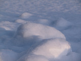White winter background. Snow surface in perspective. Stones covered with snow on the lake. Lumps of snow in the rays of the setting sun. Winter snowy landscape. The shore of the lake in winter.
