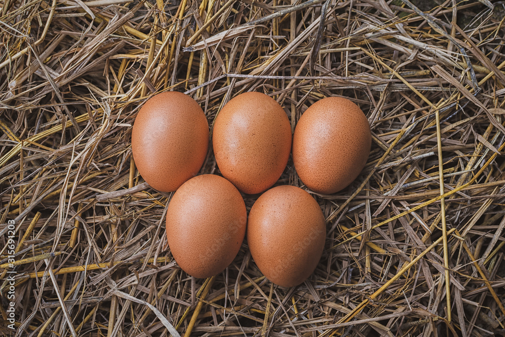 five eggs lay on a straw