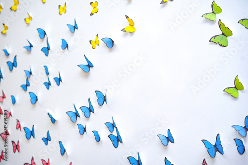 green blue yellow Butterfly graphic art pop up 3d on the white clean wall