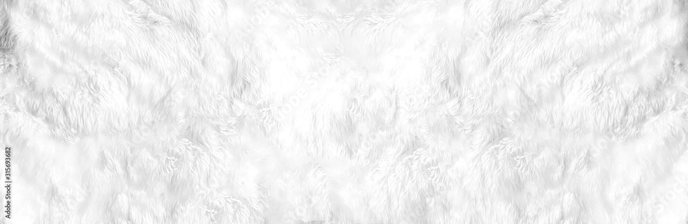Closeup animal white wool sheep panoramic background in top view light, wide grey fluffy seamless cotton texture. Wrinkled lamb fur coat skin, rug mat raw material, fleece woolly textile concept - obrazy, fototapety, plakaty 