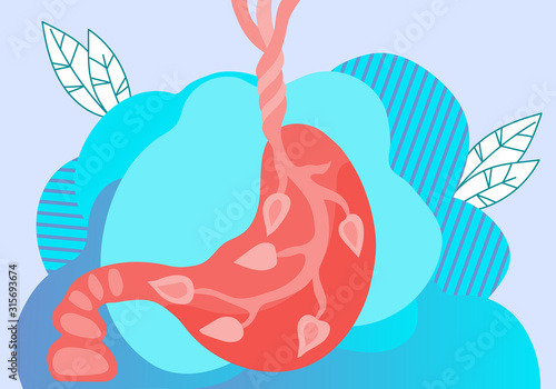 Human stomach icon - digestive system organ creative image for anatomical and biological visual presentation. Gastrology diseases, medical specialists or gastrologist emblem. Flat vector illustration. photo