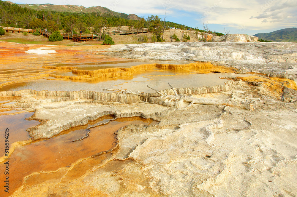 Mammoth Hot Springs  - complex of hot springs on a hill of travertine in Yellowstone.