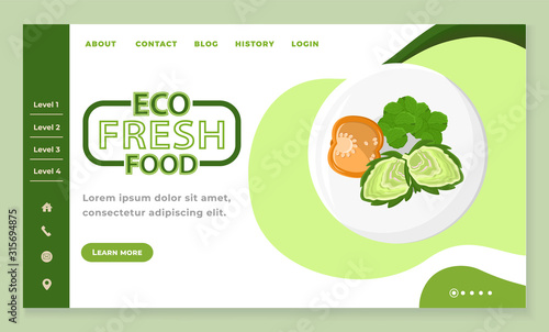 Eco fresh food and healthy blog online. Diet app slider with levels of natural ingredients for nutrition. Tomato and greens on plate. Website or webpage template, landing page flat design style vector