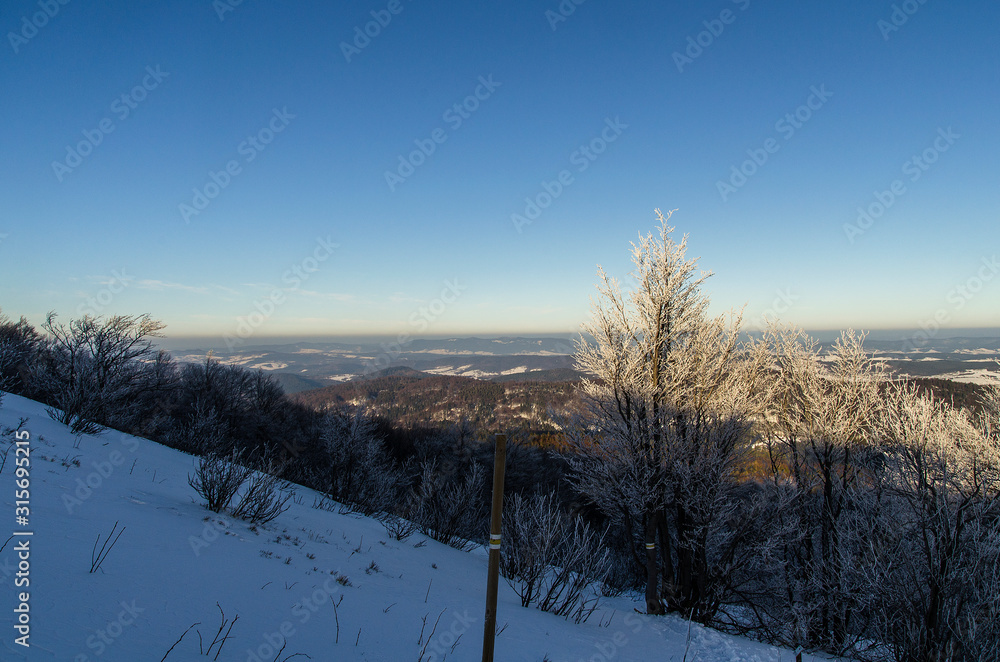 Polonina Dźwiniacka Bieszczady zima panorama Polonina Dźwiniacka Bieszczady zima panorama