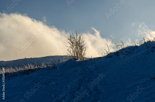 Fototapeta Naklejka Na Ścianę i Meble -  Polonina Dźwiniacka Bieszczady zima 