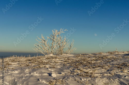 Fototapeta Naklejka Na Ścianę i Meble -  Polonina Dźwiniacka Bieszczady zima 