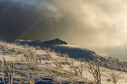 Fototapeta Naklejka Na Ścianę i Meble -  Zima, śnieg, słońce, wiatr, bieszczady Bukowe Berdo