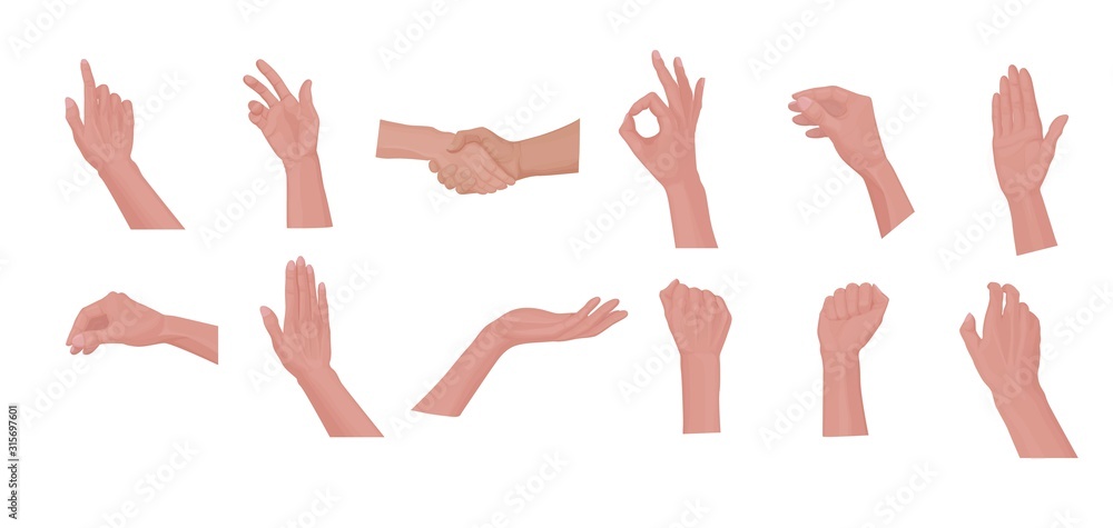 3D file 12 Male hand poses・3D printer model to download・Cults