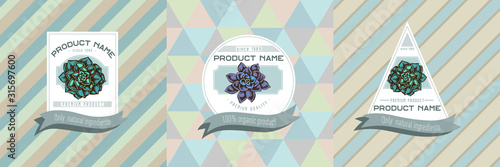 Three colored labels with illustration of succulent echeveria