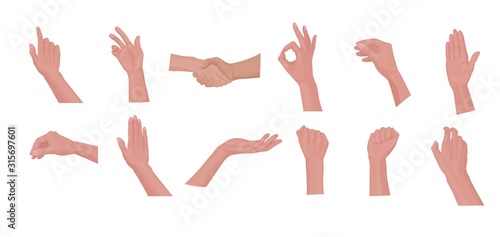 Set of different gestures with a human hand. Hand poses: okay, hello. Cartoon human male hands showing thumbs up, pointing and greeting. photo