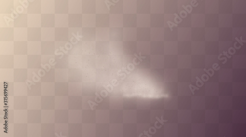 Vector illustration of dust and sand powder explosion scattered isolated on transparent background. Texture of thick desert dust fog. Smoke cloud from forest fire