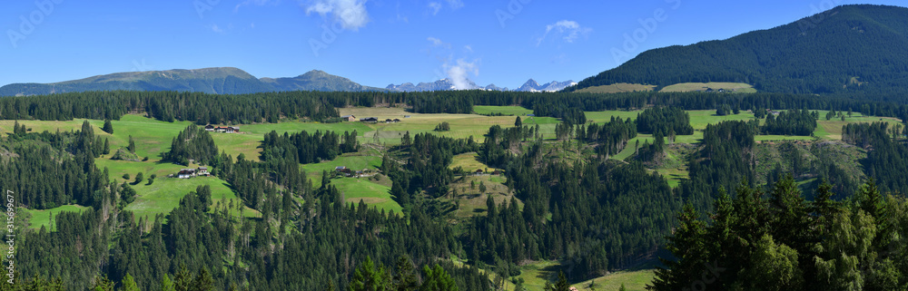 Beautiful mountain landscape with fir and larch forests in south tyrol near Brunico, Bolzano. Italy.