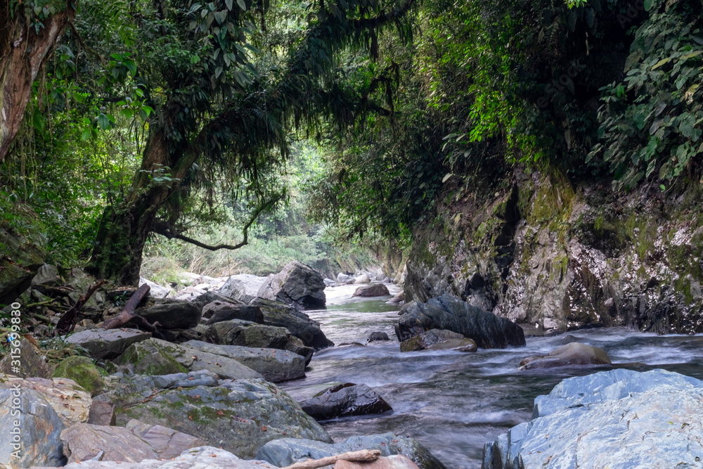 Rio Colombiano entre arboles y rocas Rio Colombiano entre arboles y rocas