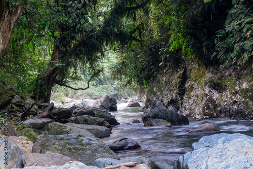 Rio Colombiano entre arboles y rocas