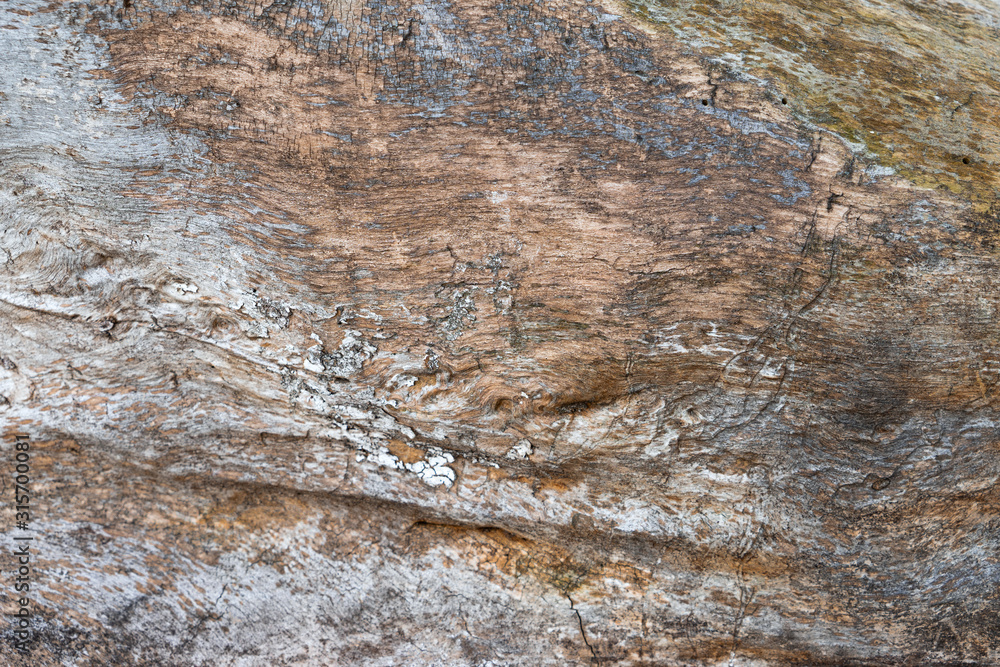 Old dry wood texture grey brown Old dry wood texture grey brown