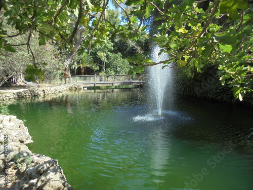 waterfall in the park