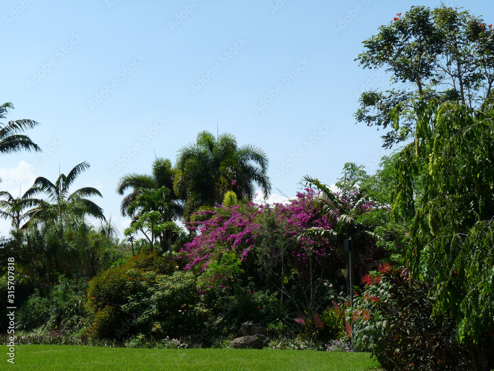 Sky Palm Trees Miami, FL, USA - MIA