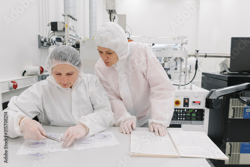 Two scientists working in laboratory