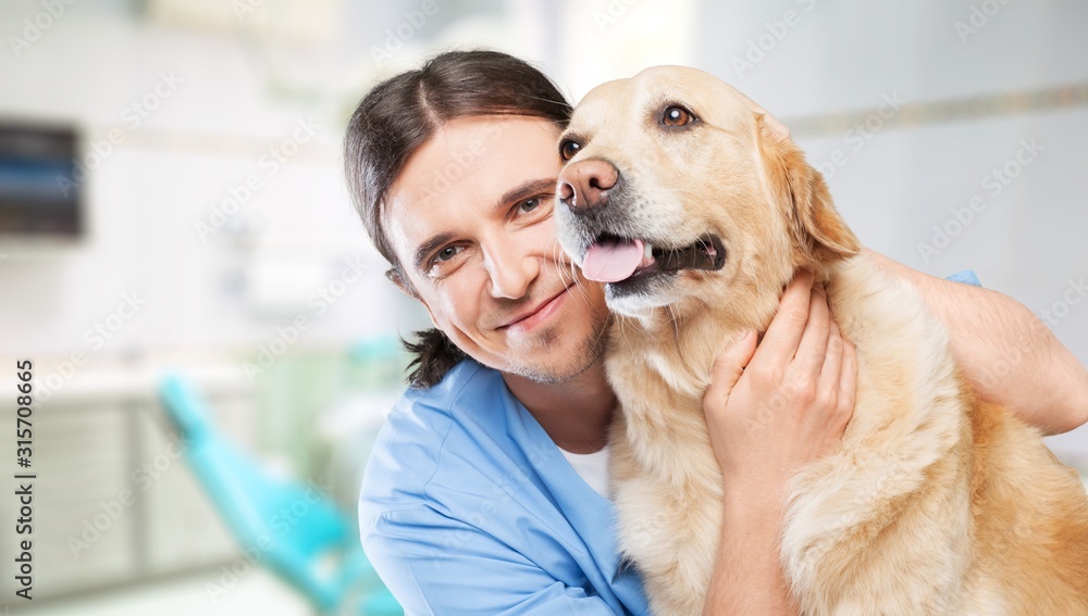 A beautiful young veterinarian with a dog on a hospital background A beautiful young veterinarian with a dog on a hospital background