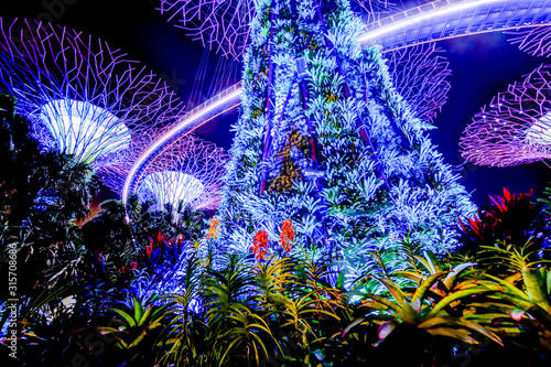 The Supertrees in the Gardens by the Bay in Singapore photo