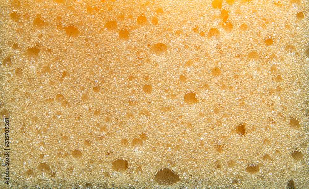 Sponge texture. Background made of a perforated sponge. Sponge texture. Background made of a perforated sponge.