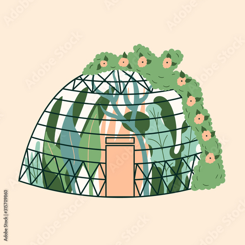 Modern home greenhouse in the form of a dome with plants. Garden, climbing up the ivy. Winter glass garden, a greenhouse is a house with a plantation. The room is green. Gardening on the site. Vector 