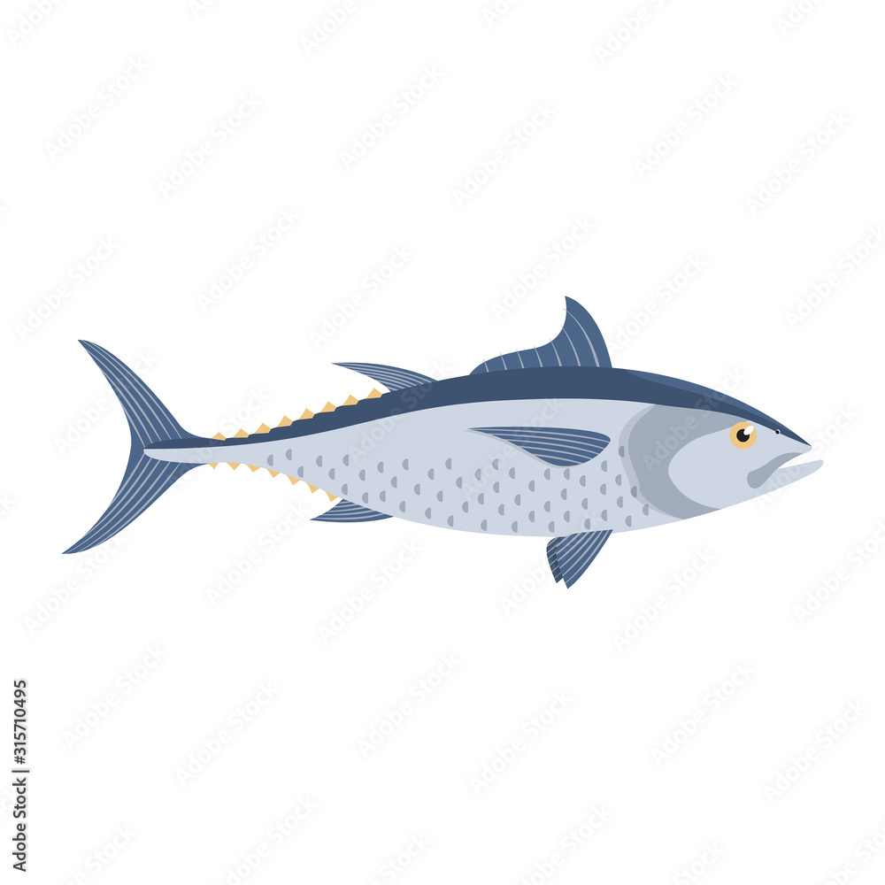 The tuna is isolated on the white background.