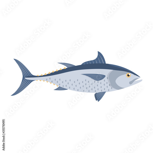 The tuna is isolated on the white background. © Ирина Орлова