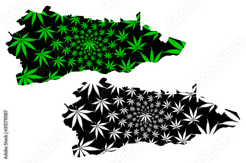 Calarasi County (Administrative divisions of Romania, Sud - Muntenia development region) map is designed cannabis leaf green and black, Calarasi map made of marijuana (marihuana,THC) foliage.... photo