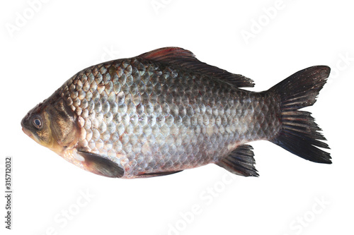 Obraz na płótnie Fresh river crucian isolated on white background. w salonie