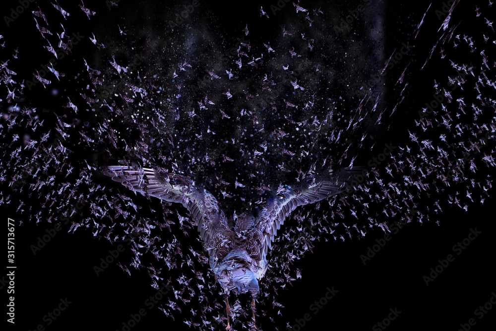 Fototapeta premium Abstract nature bird. Bird image. Black background. 