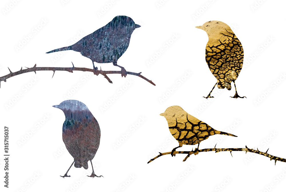Fototapeta premium Cute little birds. Drought theme images. 