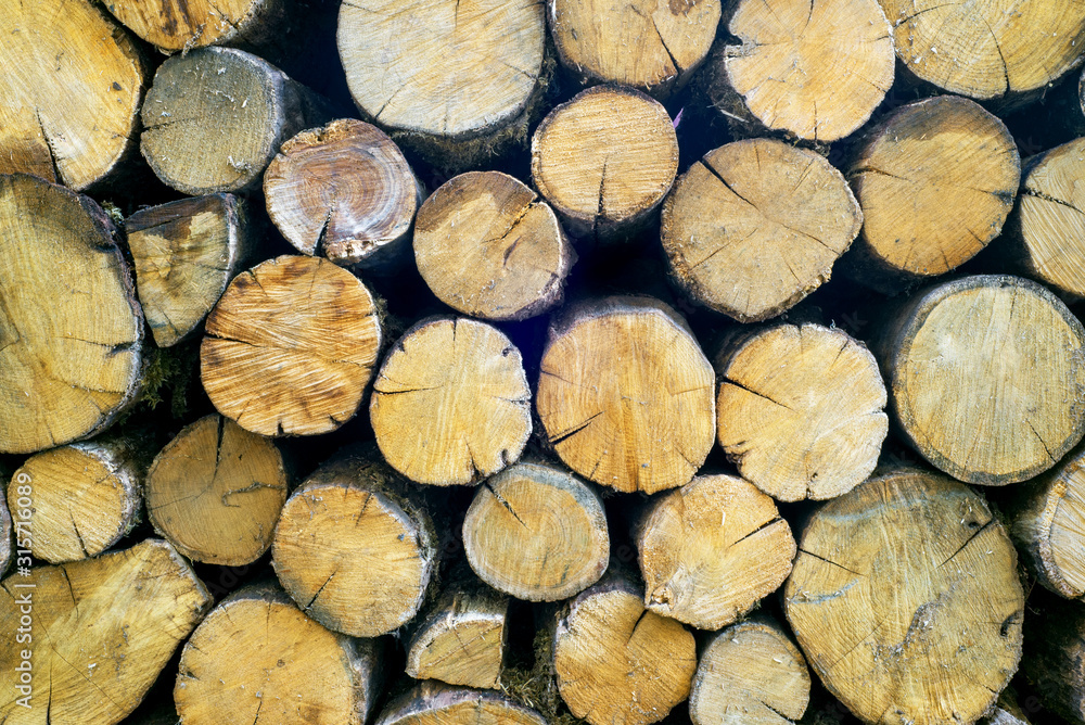 Natural wooden background. Woods structure. Wooden natural cut logs texture Natural wooden background. Woods structure. Wooden natural cut logs texture