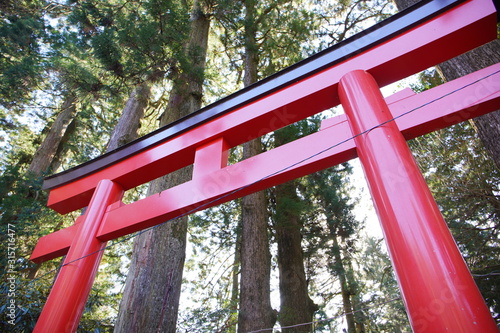 箱根神社の赤い鳥居