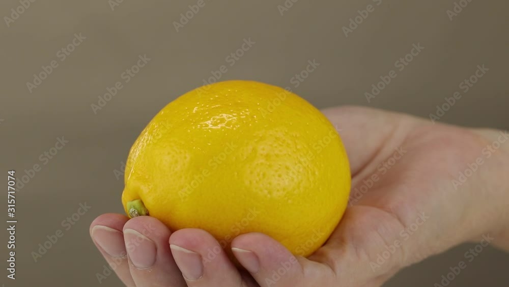 Female hand holds a yellow lemon on a gray background, close-up Female hand holds a yellow lemon on a gray background, close-up