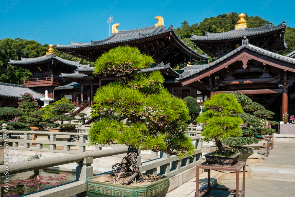 Bonsai trees in Chinese Garden of the Chi Lin Nunnery, a Buddhist temple in Hong Kong Bonsai trees in Chinese Garden of the Chi Lin Nunnery, a Buddhist temple in Hong Kong