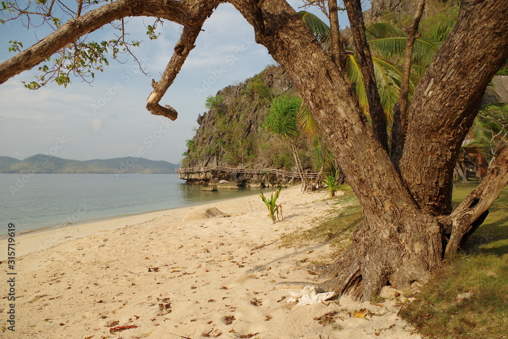 A beautiful island in the Philippines archipelago. The isle has a sandy beach and many palm trees. A rocky cliff edge is visible in the distance. In the foreground, a big tree trunk.