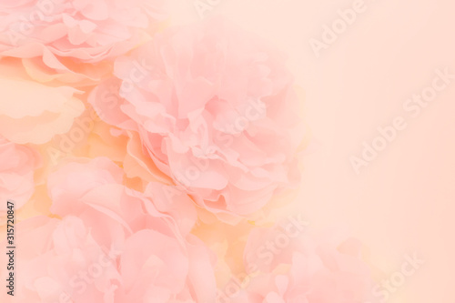Fototapeta Naklejka Na Ścianę i Meble -  Beautiful abstract color orange purple and pink flowers on white background and white flower frame and pink leaves texture, light pink background, colorful banner happy valentine