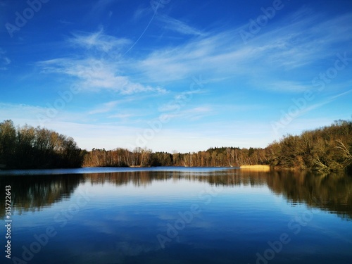 reflection of trees in water