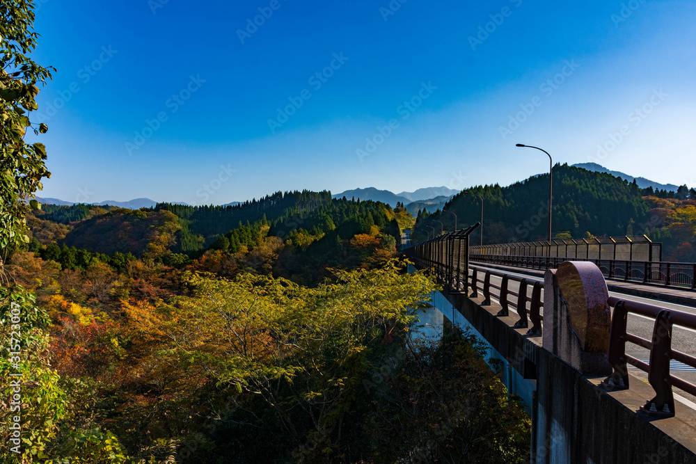 秋の季節 紅葉風景写真 阿蘇蘇陽峡展望台 長崎鼻展望台への道 絶景紅葉風景 九州のグランドキャニオン Autumn Season Autumn Leaves Landscape Pictures Aso Road To Nagasakihana Observatory Superb View Of Autumn Leaves Grand Canyon In Kyushu Japan Foto De Stock