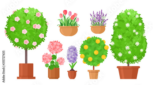 Garden flowers in pots flat vector illustrations set