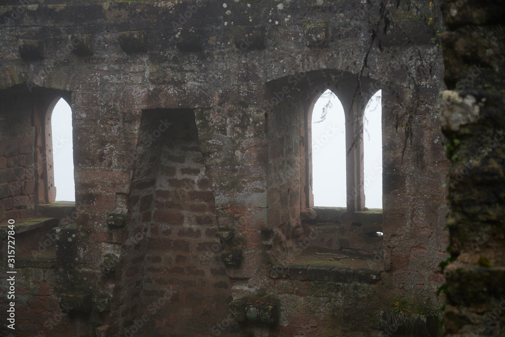 Fototapeta premium Frankenstein